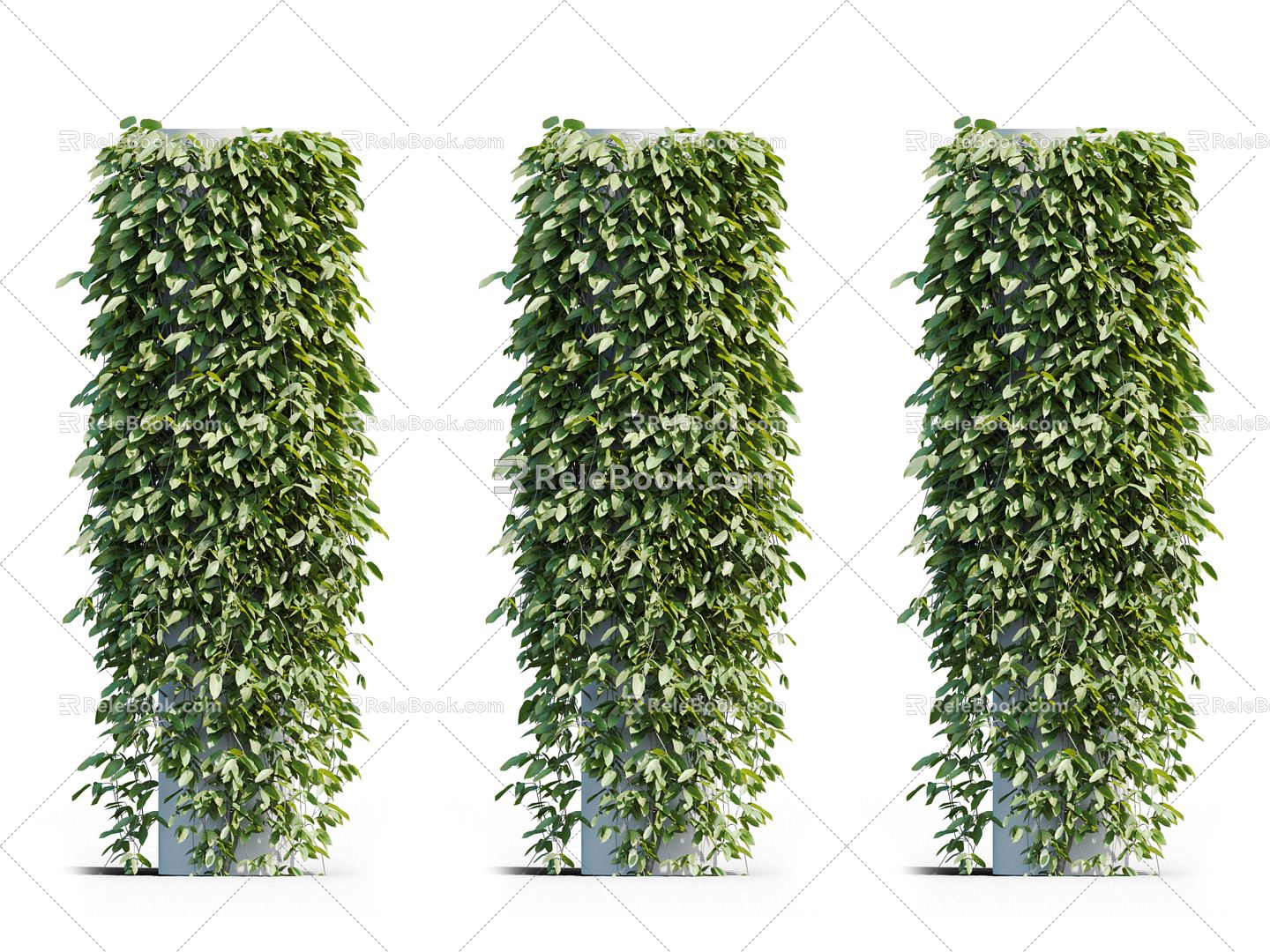 Modern Vine Vine Plant 3d model