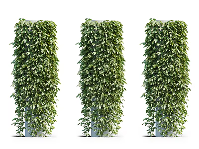 Lush Green Vines Covering Three Pillars With Dense Foliage And Vertical Growth 3d model