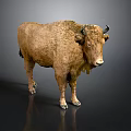 Lifelike Bison Sculpture With Detailed Fur Texture And Standing Pose Design