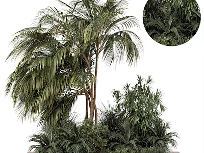Lush Tropical Plant Collection With Palm Trees Bamboo And Green Foliage 3d model