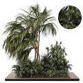 Lush Tropical Plant Collection With Palm Trees Bamboo And Green Foliage