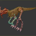 Medical Skeleton Model For Anatomical Education And Medical Training Use