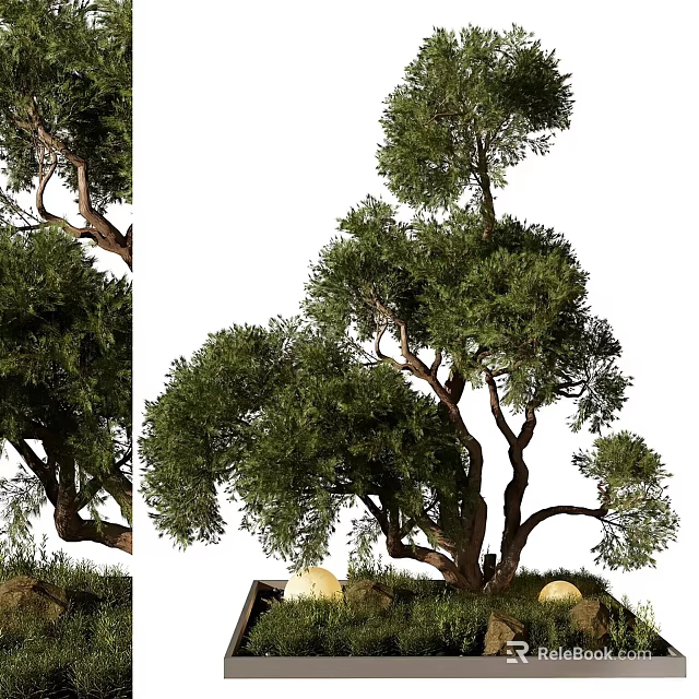 Artistic Bonsai Trees with Twisted Trunks and Lush Green Leaves in Natural Stone Base 3d model 