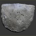 Artisanal Wood Stone Bowl With Intricate Honeycomb Texture And Natural Shape