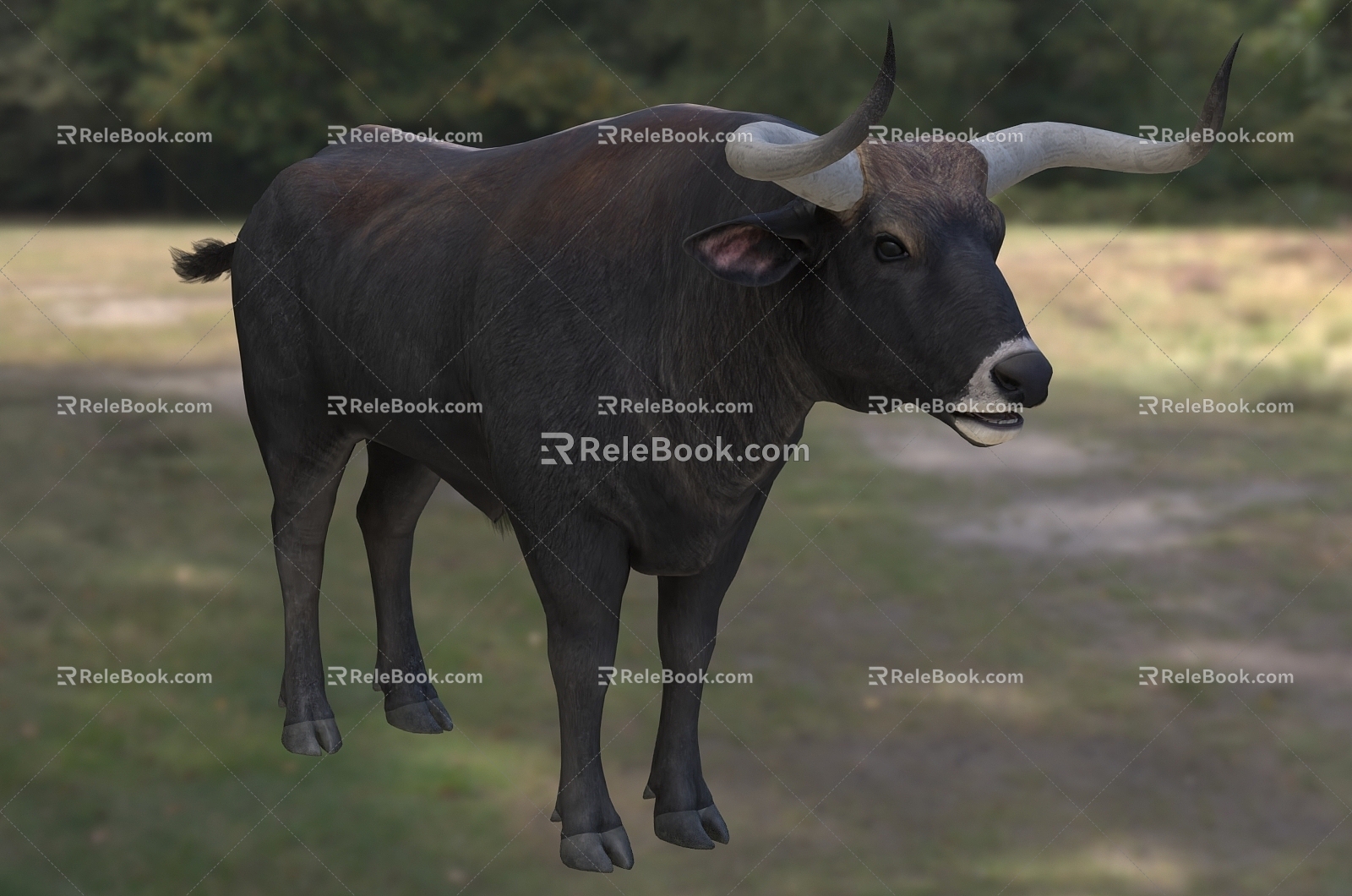 European Bison Animal Creatures 3d model