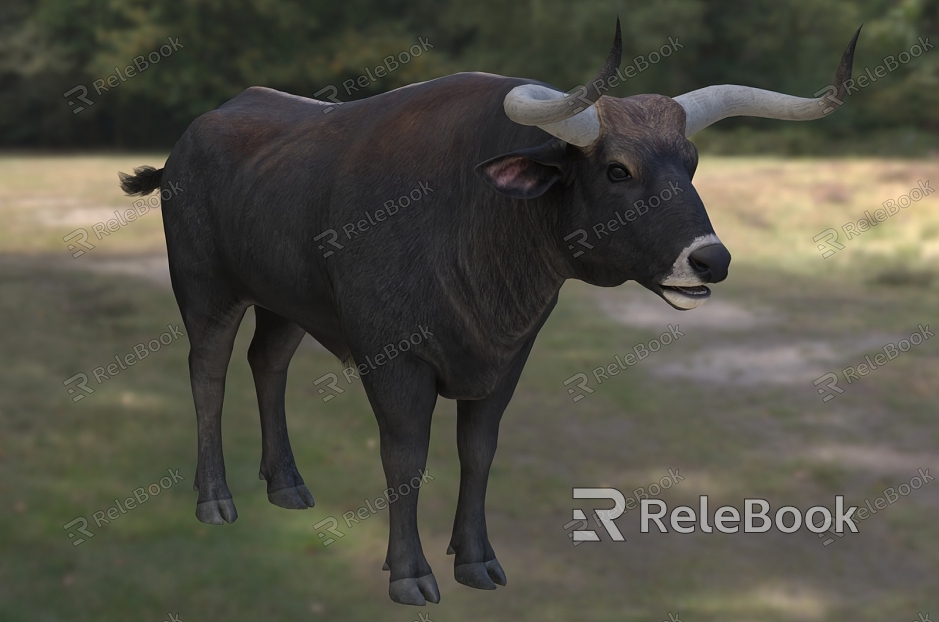 European Bison Animal Creatures model