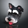 Black and white dog head with white eyebrows whiskers and tongue sticking out