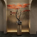 Red Maple Bonsai Tree With Red Leaves In Stone Pot On Wooden Stand By Arched Wall With Lantern