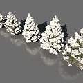 Snow Covered Evergreen Trees in Different Sizes with Reflections on Surface 3d model