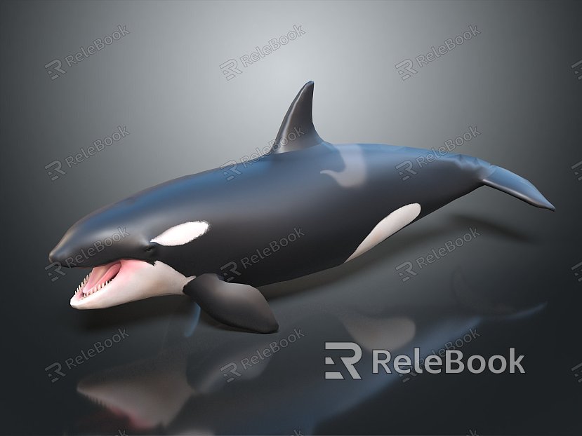 Modern Whale Cartoon Whale Mammal Marine Mammal model