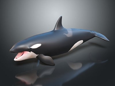 Modern Whale Cartoon Whale Mammal Marine Mammal 3d model