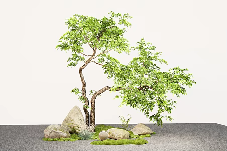 Courtyard landscape tree shape oblique floating trees micro terrain stone 3d model
