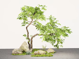 Courtyard landscape tree shape oblique floating trees micro terrain stone 3d model