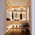Elegant Modern Walk-in Closet Interior Design With Wooden Cabinets Hanging Area Shoes Mirror And Lighting