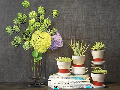 Bonsai Potted Plants With Succulents Flowers And Red White Pots On Stacked Books 3d model
