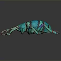 Green and Blue Patterned Beetle with Long Antennae and Detailed Legs on Dark Background