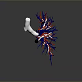 3D Rendering of Organ Structure with Hair Like Red Blue Blood Vessels and White Bone