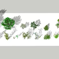 Modern tree bamboo 3d model
