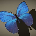 Vibrant Blue Butterfly With Iridescent Wings Casting Soft Shadow on Neutral Background