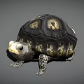 Reptile Tortoise With Black And Yellow Shell Pattern Standing On Gray Background