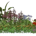 Tall And Low Plant Combination With Colorful Flowers Green Foliage And Garden Blooms