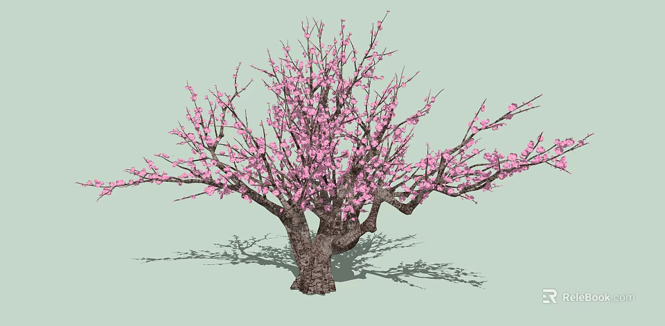 Vibrant Ornamental Arbor With Pink Blossoms Thick Trunk And Spreading Branches 3d model 