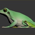 Frog Frog Frog Poison Frog Game Frog Reptile Cold Blooded Animal Reptile Reptile 3d model