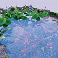 Koi carp carp goldfish koi combination red yellow goldfish lotus water lily lotus leaf aquatic plant lotus landscape plant lotus leaf lotus canopy 3d model