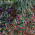 Decorative Living Plant Wall With Diverse Green Plants And Colorful Flowers