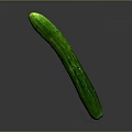 Single Fresh Green Cucumber Standing on Gray Background with Reflection 3d model
