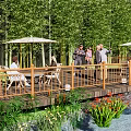 Serene Waterfront Landscape with Wooden Deck Sun Umbrellas and People Relaxing by Bamboo Grove