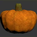 Orange Pumpkin Plant With Green Stem And Textured Surface On Dark Background