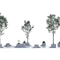 Modern Tree Planters With Trees Concrete Bases And Small Decorative Plants 3d model