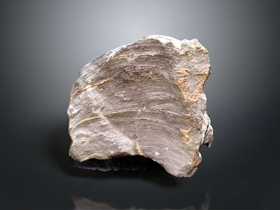 Natural Layered Rock Formation With Rough Gray Textured Geological Surface 3d model