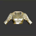Golden Shiny Metallic Short Sleeve Blouse With Collar And Reflection Effect