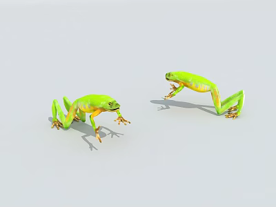 Two Green Reptiles In Various Poses Against White Background Showing Distinct Features 3d model
