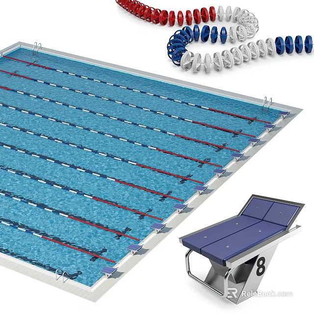 Modern Swimming Pool with Lane Lines Seating and Starting Block Platform 3d model 
