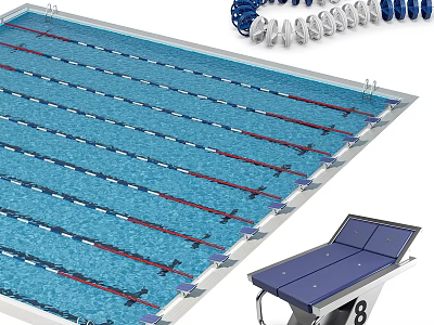 Modern Swimming Pool with Lane Lines Seating and Starting Block Platform 3d model