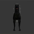Detailed Black Dog Sculptures Carving Two Different Breeds on White Background