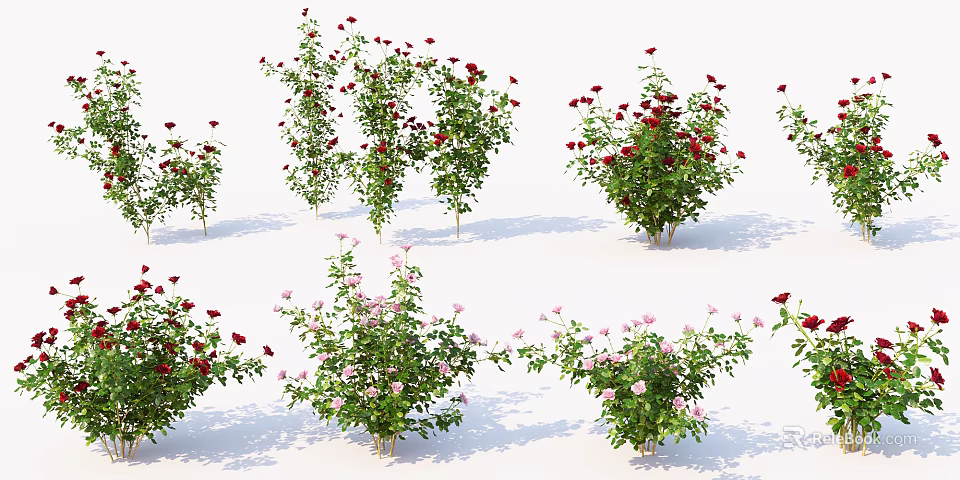 Beautiful Flowering Trees With Red And Pink Roses In Garden Landscape 3d model 