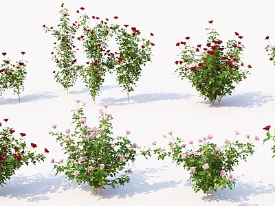 Beautiful Flowering Trees With Red And Pink Roses In Garden Landscape 3d model