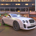 Hyundai white Bentley 3d model