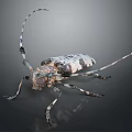 Longhorn Beetle With Long Antennae And Spotted Body On Dark Background