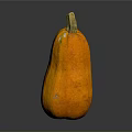 Fresh Orange Pumpkin as Healthy Food Ingredient for Home Cooking Recipes