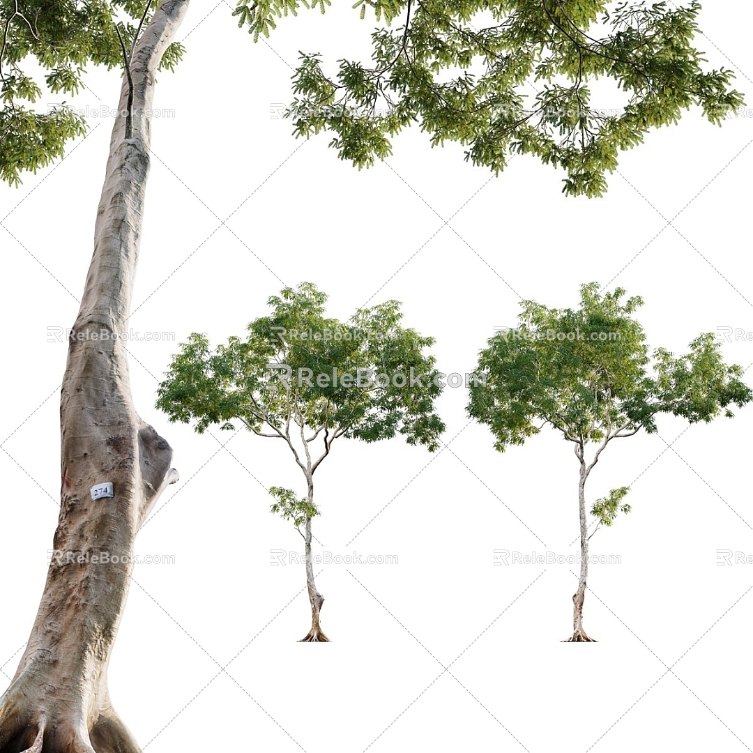 Landscape Trees Trees 3d model