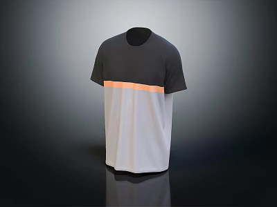 Modern Color Block T-Shirt With Dark Top Light Bottom And Orange Stripe 3d model