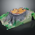 Tree Stump Display with Heart Shaped Cross Section Green Grass Moss and Geometric Base