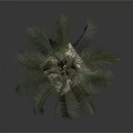 Tall Palm Tree With Green Leaves Standing On Square Base Against Gray Background