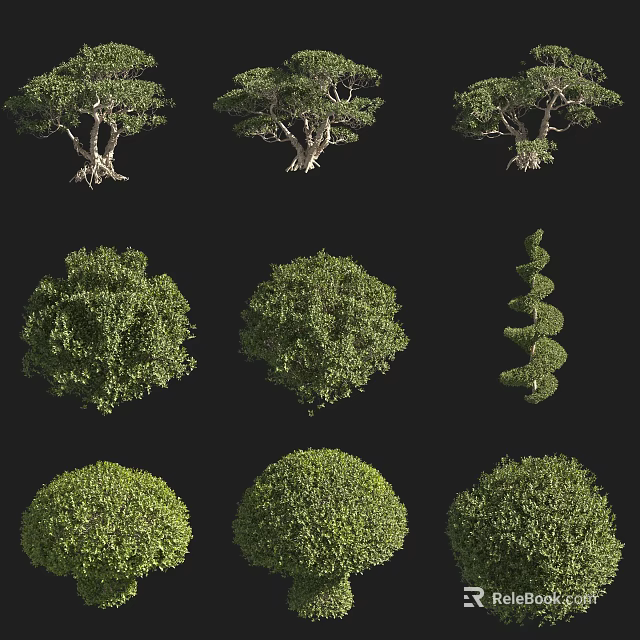 Various Shrub Varieties With Rounded Spiral And Natural Green Foliage 3d model
