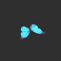 Stunning Vibrant Blue Butterfly Flying Against Dark Background With Bright Wings
